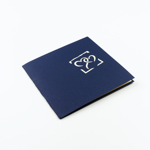 BD002